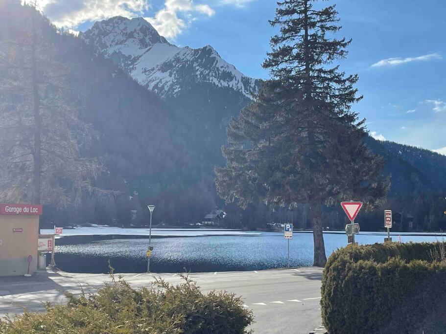 Charmant 2,5 Pieces Avec Jardin A 2 Pas Du Lac Champex-Lac Exterior foto