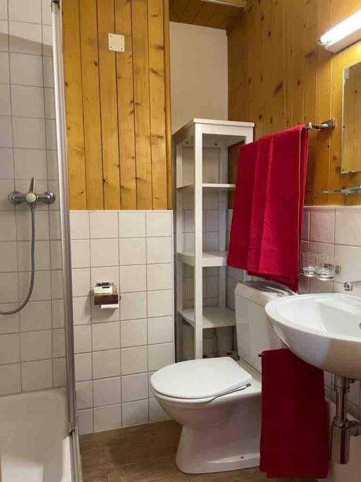 Charmant 2,5 Pieces Avec Jardin A 2 Pas Du Lac Champex-Lac Exterior foto